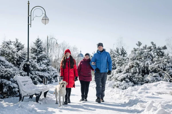 Family with a larbrador dog walking in a snowy park on a nice winter day. Father, mother and daughter smile and have fun enjoying bright winter day. Family values and spending time together concept
