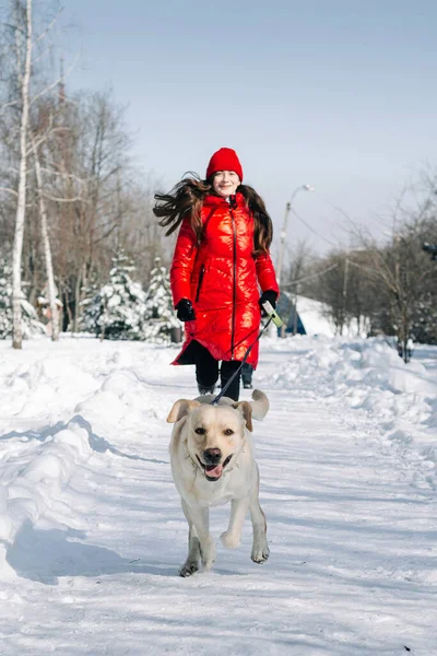 Dog\'s owner with his pet having fun in the park on a snowy winter\'s day. Girl and a labrador retriever run and being active outdoors among piles of snow. Friendship and togetherness concept