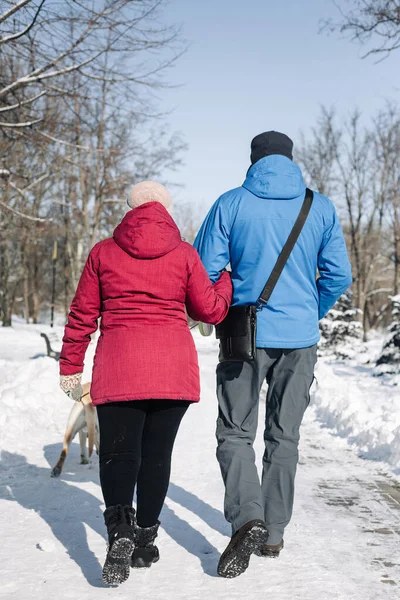 Rückenansicht Eines Paares Das Mit Seinem Hund Verschneiten Winterpark Spazieren — Stockfoto