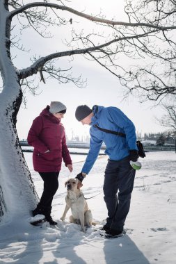 Köpekleri ile birlikte deniz kenarındaki karlı kış parkında yürüyen bir çift. Bir erkek ve bir kadın soğuk bir kış gününün tadını çıkarırlar. Labrador av köpeğiyle yürürler. Arkadaşlık, aşk ve birlikte konsept