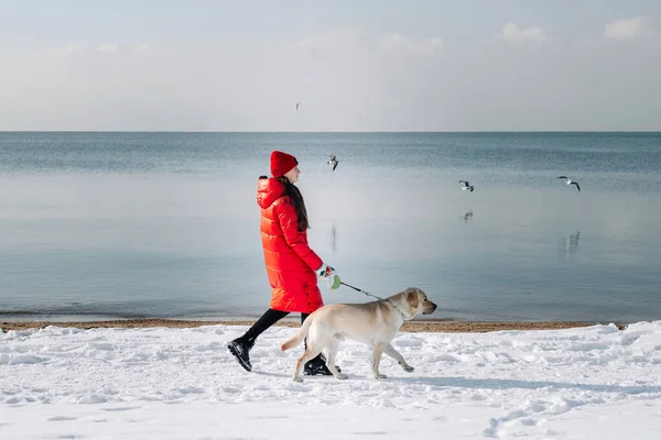 Dziewczyna Jej Pies Spacerują Zaśnieżonej Plaży Podczas Mroźnego Jasnego Zimowego — Zdjęcie stockowe