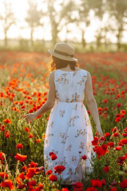 Tarlada kırmızı gelincik çiçeklerinin arasında yürüyen bir kızın arka planı. Genç kadın kendini mutlu hissediyor ve haşhaş tarlasının ortasında özgürlüğün tadını çıkarıyor. Bahar ve gün batımı kavramı