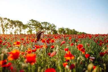 Genç bir kadın kırmızı haşhaş tarlasının ortasında oturur ve çiçekleri koklar. Kız çiçeklerin arasında güneşli bir günün tadını çıkarıyor. Bahar ve gün batımı kavramı