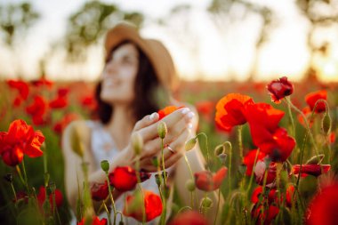 Şapkalı genç bir kadın gün batımında tarlanın ortasında kırmızı gelincik çiçeklerini elinde tutuyor. Kız baharı seviyor, mutlu ve doğaya bağlı hissediyor. Özgürlük kavramı
