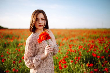 Haşhaş tarlasında kırmızı çiçeklerin arasında eğlenen güzel bir kızın portresi. Gün batımında gülümseyen ve elinde bir buket tutan genç bir kadın. Hassas romantik an konsepti