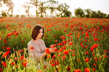 Güzel genç bir kadın gün batımında tarlada kırmızı gelincik çiçeklerinin arasında oturmaktan hoşlanıyor. Bir kız doğayla uyum hisseder ve bitkilere dokunur. Aşk, barış ve tatmin kavramı