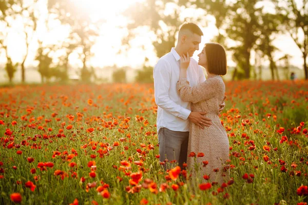 在美丽的落日下 一对浪漫的年轻夫妇站在田野里的红罂粟花丛中 迷人的男孩和温柔的女孩拥抱并亲吻着 感到快乐 家庭观念 — 图库照片