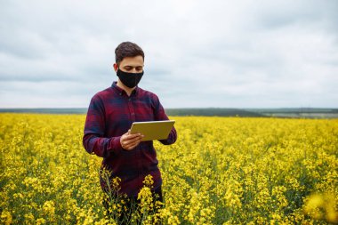 Elinde tabletle siyah maskeli bir ziraat uzmanı bir kolza tarlasında duruyor ve çekler çiçek açıyor. Bitki yetiştirmek ve geliştirmek için akıllı teknoloji kullanılıyor.