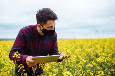 Elinde tabletle siyah maskeli bir ziraat uzmanı bir kolza tarlasında duruyor ve çekler çiçek açıyor. Bitki yetiştirmek ve geliştirmek için akıllı teknoloji kullanılıyor.