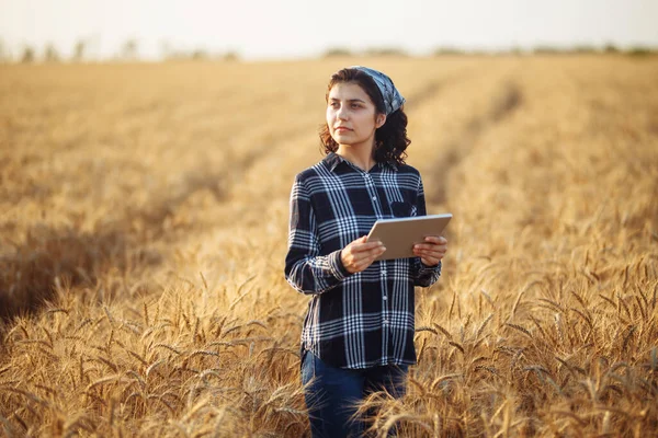 A young girl farmer with a tablet in her hands stands in the middle of a wheat field. A woman agronomist checks the harvest. Smart farmer concept. A bountiful harvest