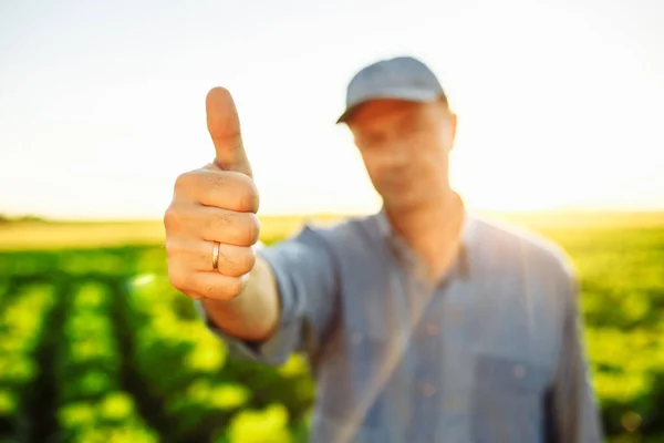 男の農夫は親指を挙げる 農学者はサインのように良い季節の収穫を承認します 取引と収穫のための新しい作物と実り多い農業年 — ストック写真