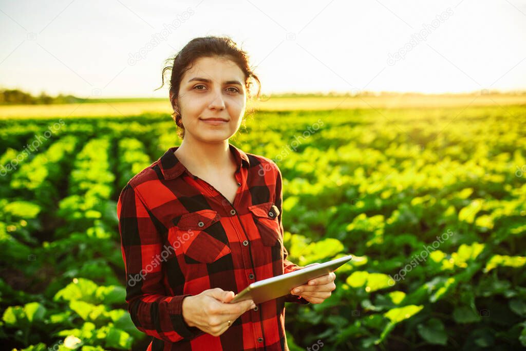 Female farmer with a tablet in her hands checks her field. Young sunflower. Smart farming. Agriculture technologies. Woman farmer in a green field