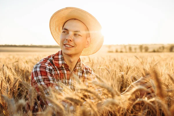 Farmer Straw Hat Tablet His Hands Checks Field Wheat Sunset — Stock Photo, Image