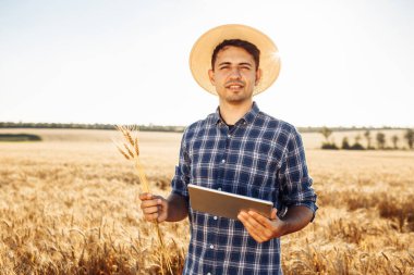 Hasır şapkalı genç bir çiftçinin portresi olgunlaşmış bir buğday tarlasının ortasında elinde tablet ve dikenlerle duruyor. Beyaz adam tarım için ekinlerin kalitesini ve büyümesini kontrol ediyor