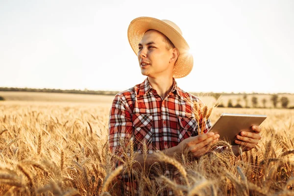 藁帽子を被った若い農民の肖像画は 熟した小麦畑の真ん中にタブレットとスパイクレットを手にして立っています 農業のための作物の品質と成長をチェックする白人男性 — ストック写真