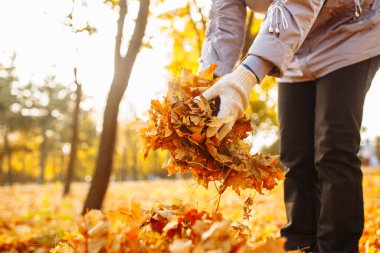 Bir sonbahar parkında ya da ormanda elinde bir demet düşmüş sarı ve turuncu yaprak tutan bir kadının yakın plan fotoğrafı. Kadın temizleme arka bahçede düşen sonbahar yaprakları.
