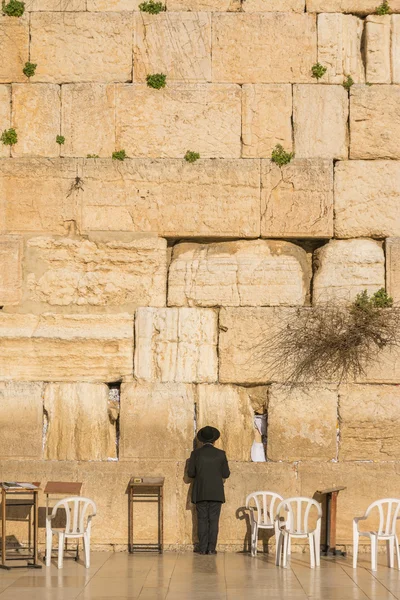 Orthodox Jewish man prays in the wailing wall of Jerusalem, Israel — Stock Photo, Image