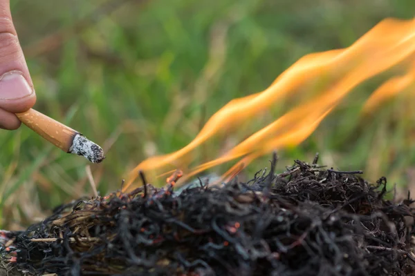 Cigarette causing a dangerous fire on the forest — Stock Photo, Image