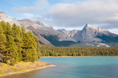 Maligne göl jasper national Park