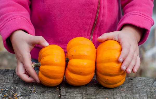 Осенний Хэллоуин тыквы в руках ребенка Стоковая Картинка
