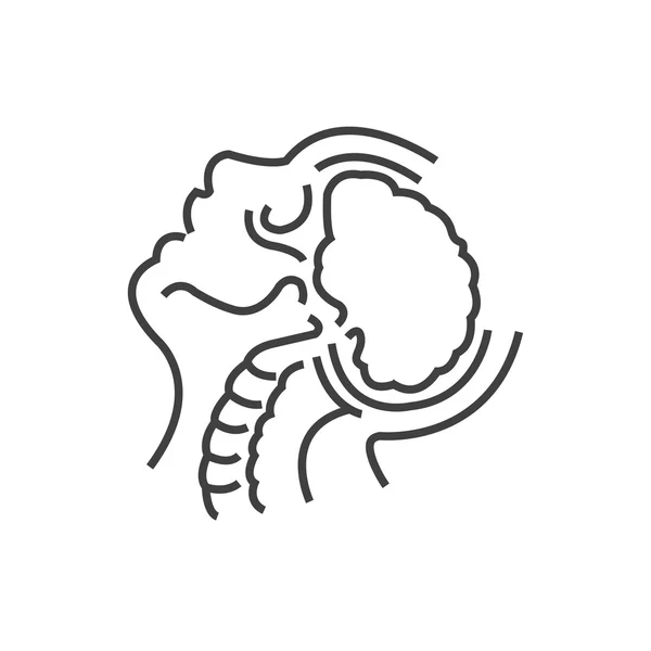 Anatomia do cérebro, Médicos Otorrinolaringologia ícone, ícone de linha St —  Vetores de Stock