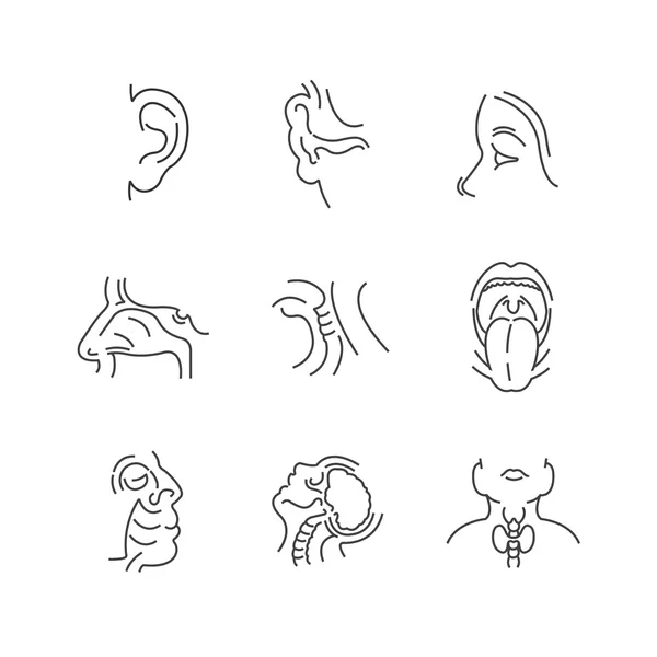 Set of Line Icons Medical Doctors Otolaryngology — Stock Vector