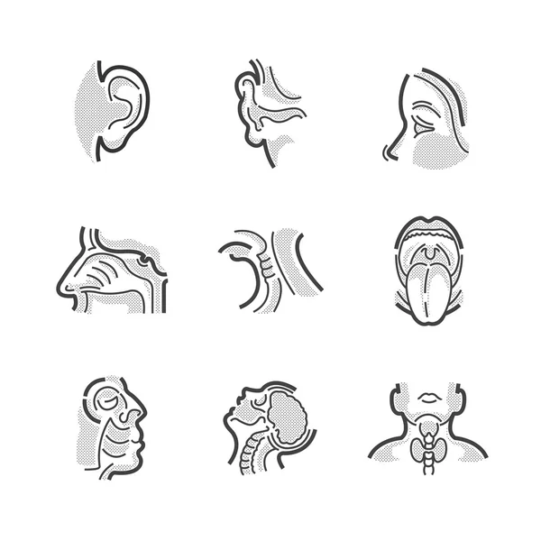 Ensemble d'icônes Médecins Otolaryngologie — Image vectorielle