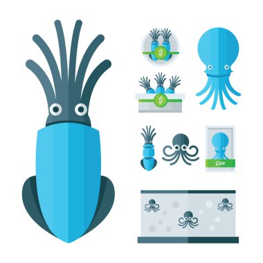 Infographic mavi kalamar çizgi film seti