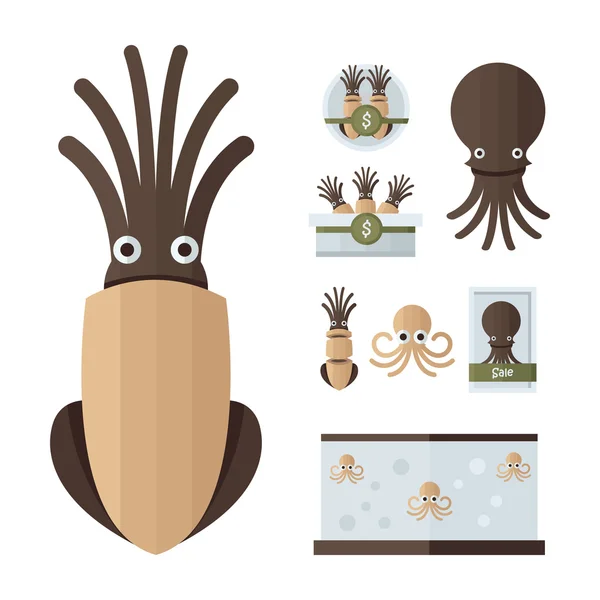 Инфографические коричневые кальмары — стоковый вектор