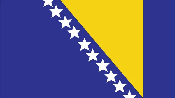 Bosnia e Herzegovina Bandeira para o Dia da Independência e infográfico — Vetor de Stock