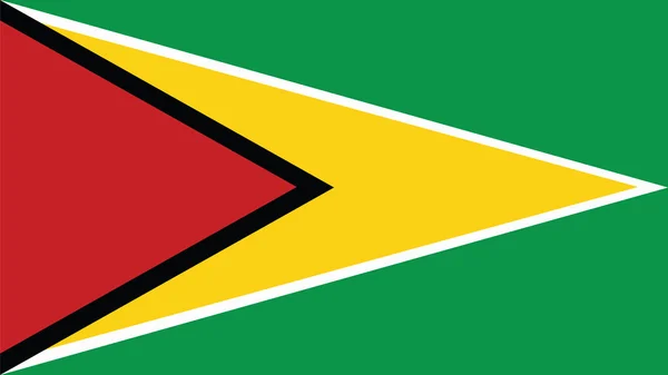 Guyana Flagge für den Unabhängigkeitstag und Infografik Vektor Illustration — Stockvektor