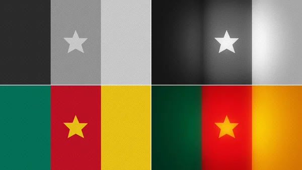 喀麦隆国旗背景样式集 — 图库照片