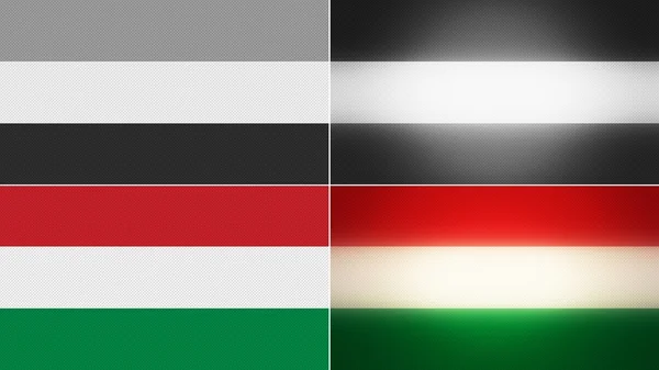 Ungarische Flagge Hintergründe Stile gesetzt — Stockfoto