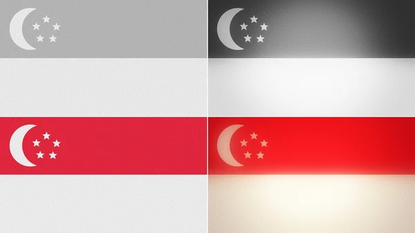 싱가포르 국기 배경 스타일 세트 — 스톡 사진