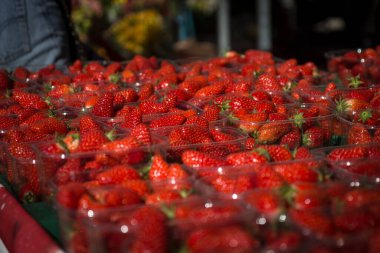 Marketteki sulu kırmızı çilek kutularının fotoğrafını çek. Sağlıklı gıda konsepti.