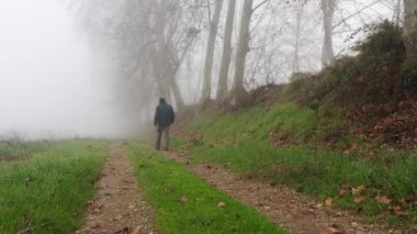Sisli bir sonbahar gününde ağaçların arasında yürüyen adam..