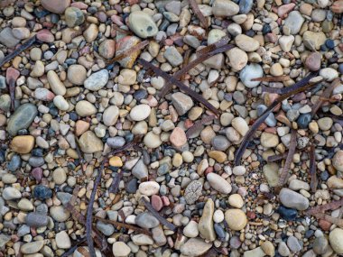 Sahilin ve nehrin kenarındaki taşların arka planı