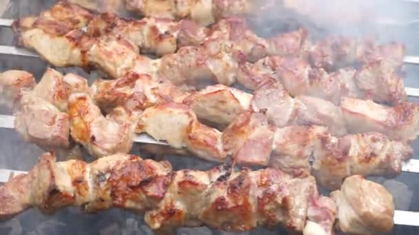 Skewers Fried Homemade Grill Fry Large Pieces Meat Open Fire — Stock Video