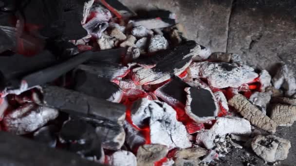 Şöminede Ateş Yanıyor Fırında Pişirmek Kapat — Stok video