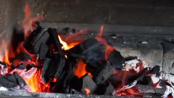 火在壁炉里烧着 — 图库视频影像