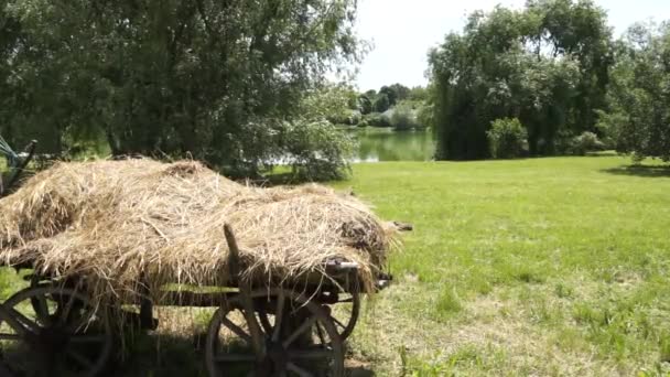 Wózek Sianem Stoi Trawniku Pobliżu Stawu — Wideo stockowe