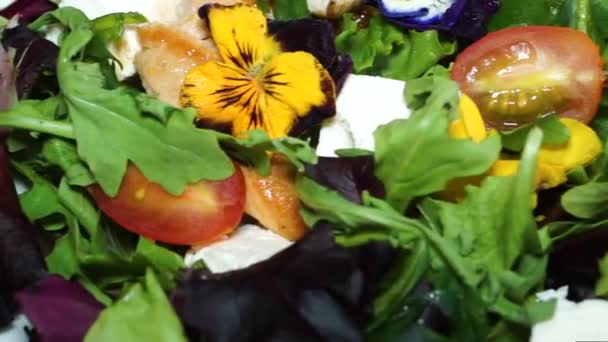 Heerlijke Salade Met Kaas Tomaten Vlees Kruiden — Stockvideo