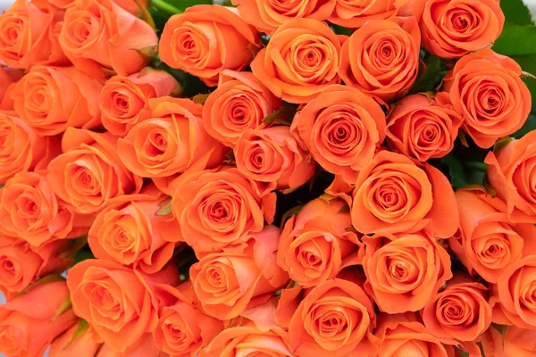 Bouquet de roses orange en gros plan. Contexte Images De Stock Libres De Droits