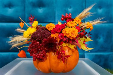 Bu canlı sonbahar çiçek aranjmanı renkli çiçekler ve böğürtlenler içeriyor, oyulmuş bir balkabağının içinde mavi bir arkaplana karşı..