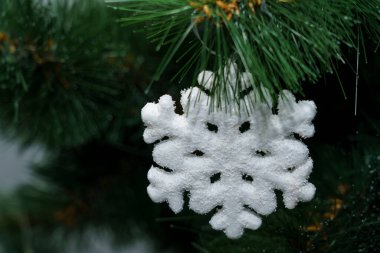 Kış boyunca kapalı bir ortamda yeşil bir çam ağacının dalına bir kar tanesi süslemesi yerleştirilir..