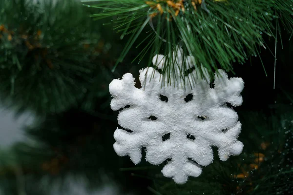 Kış boyunca kapalı bir ortamda yeşil bir çam ağacının dalına bir kar tanesi süslemesi yerleştirilir..