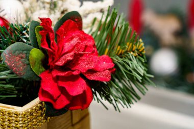 Kırmızı bir çiçek yeşil yaprakların arasında oturur. Bir tatil dekorasyonu sahnesinde. Kapalı alanda çeşitli şenlik unsurlarıyla..