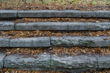 Taş basamaklar, ağaçlık bir alanda serin bir sonbahar gününde düşen yapraklarla kaplı bir parka çıkıyor..