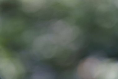 Arka planda yeşil bitki ve ağaçları gösteren bir manzara bulanık bir odak ile açık havada gün ışığında bir ortam yaratıyor..