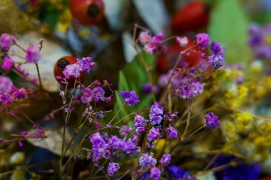 Parlak kurumuş çiçekler ve kırmızı böğürtlenler bir araya getirilerek canlı bir dekorasyon oluşturulur. Bu düzenleme doğanın güzelliğini gösteriyor..
